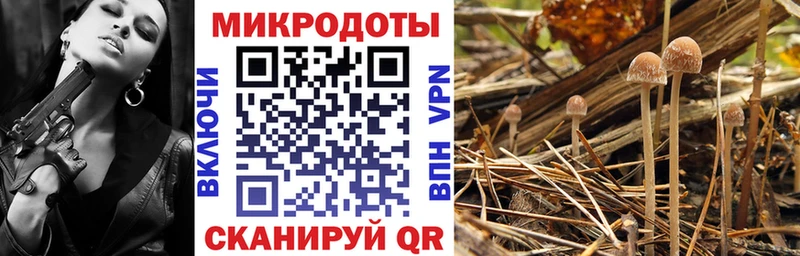 купить наркоту  Северо-Курильск  Галлюциногенные грибы прущие грибы 